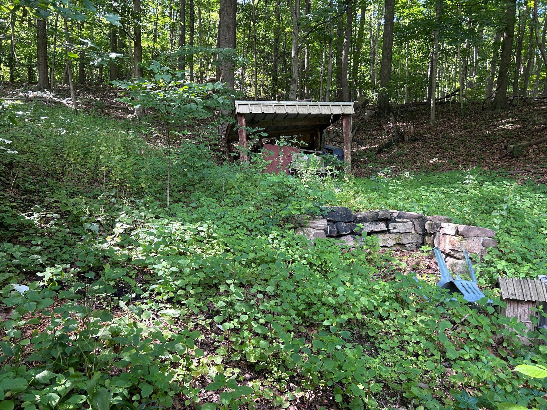 17738 Amberson Road photo 7