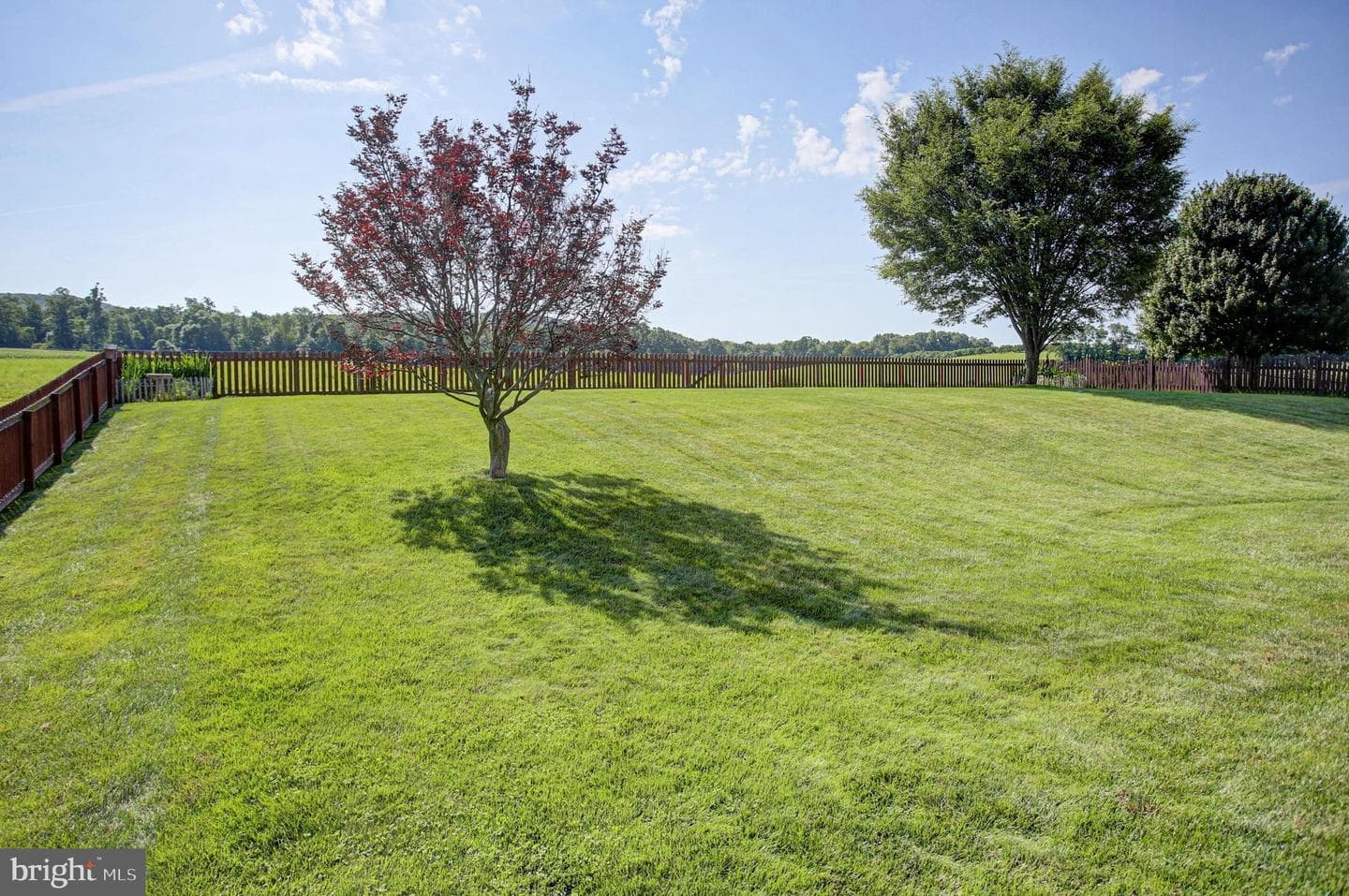 2932 Constellation Drive photo 61