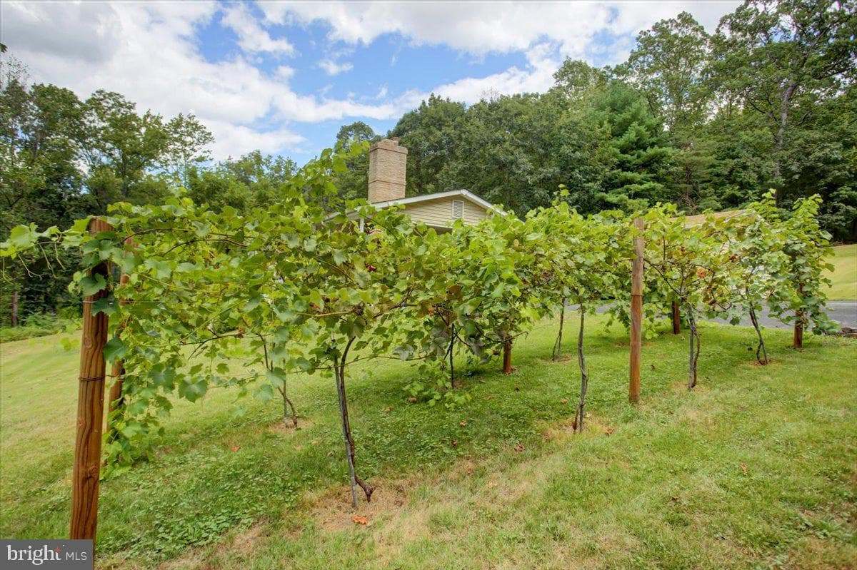 785 Fischer Road photo 39