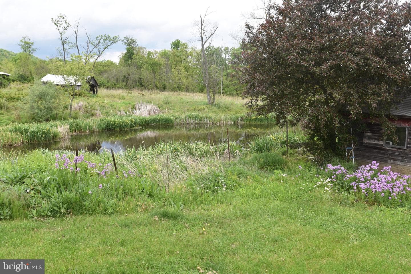 478 Shady Grove Drive photo 6