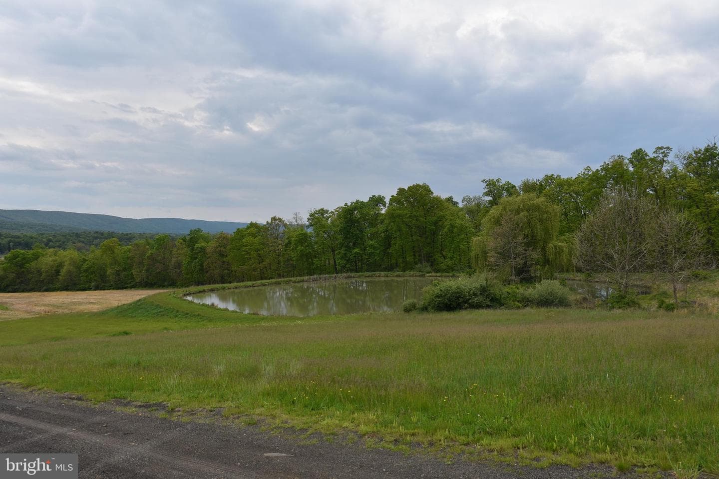478 Shady Grove Drive photo 7