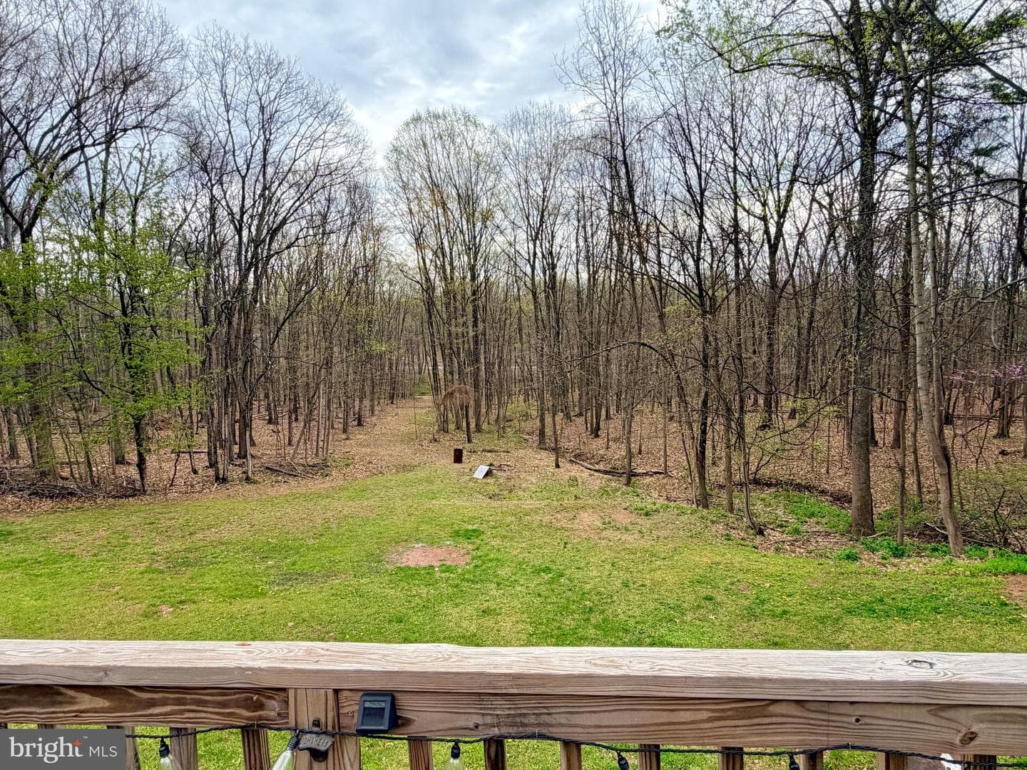 219 Mallard Run Road photo 55