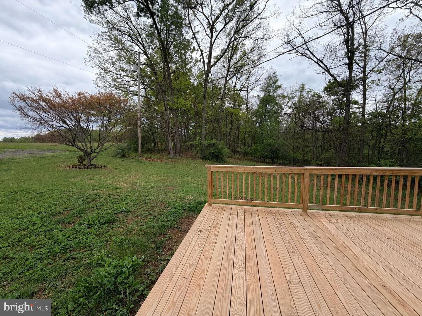 2111 Black Oak photo 70