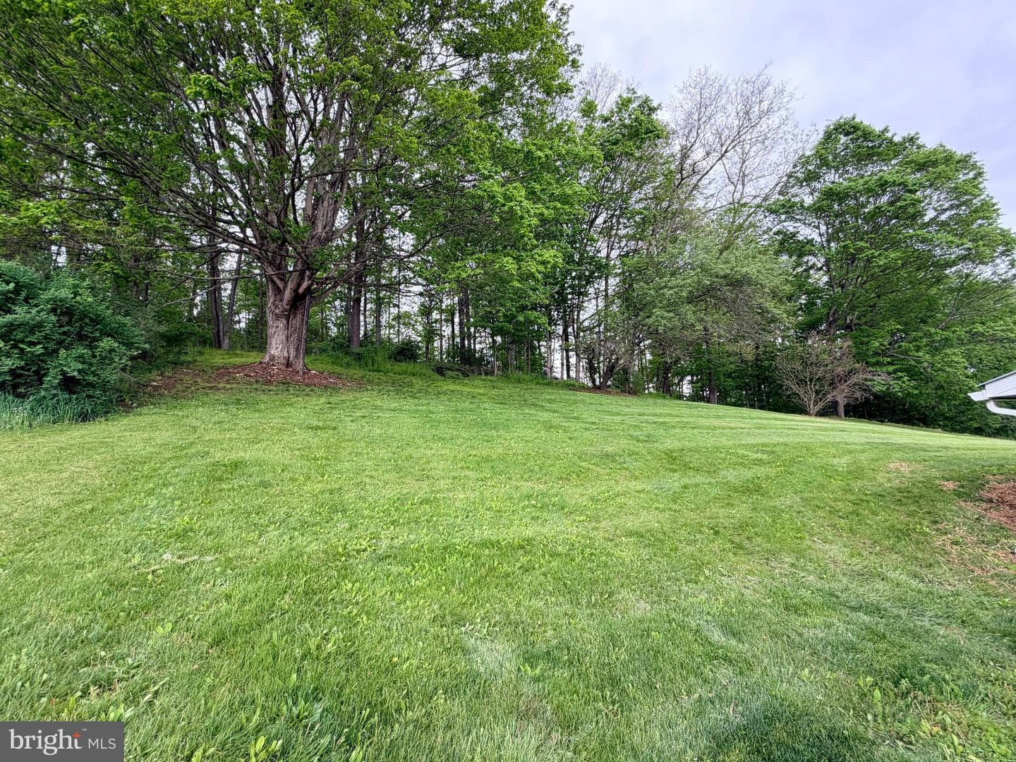 2878 Plum Hollow photo 4