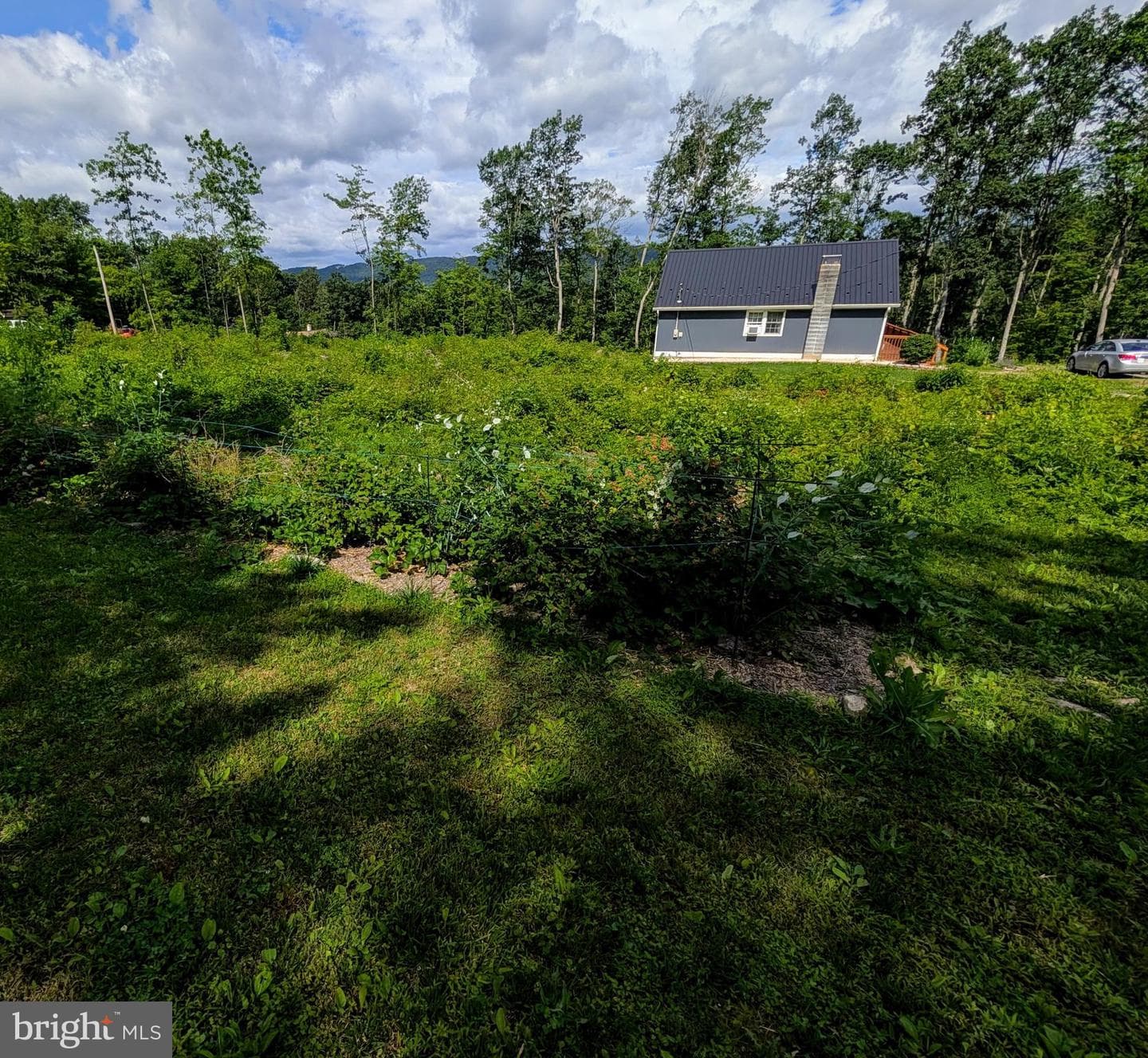 22262 Deer Run photo 51