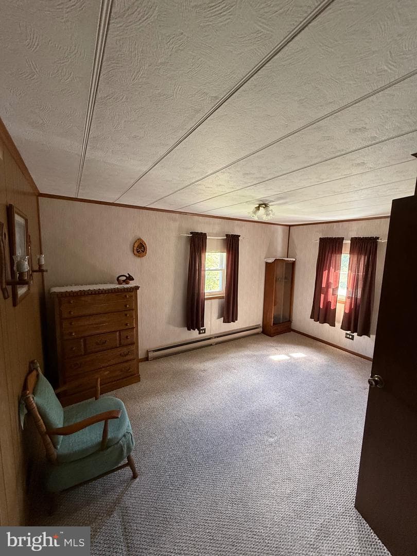 11740 Big Valley Pike photo 37