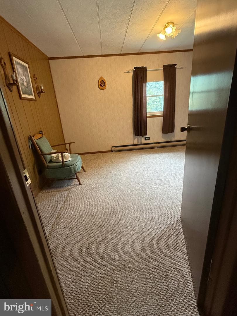 11740 Big Valley Pike photo 39