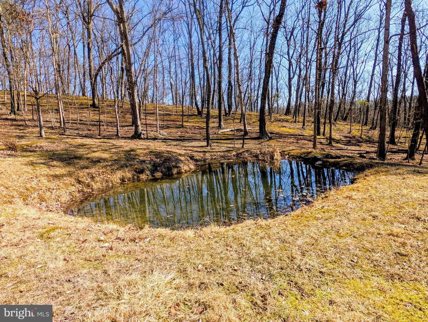 1807 Pine Ridge Road photo 76