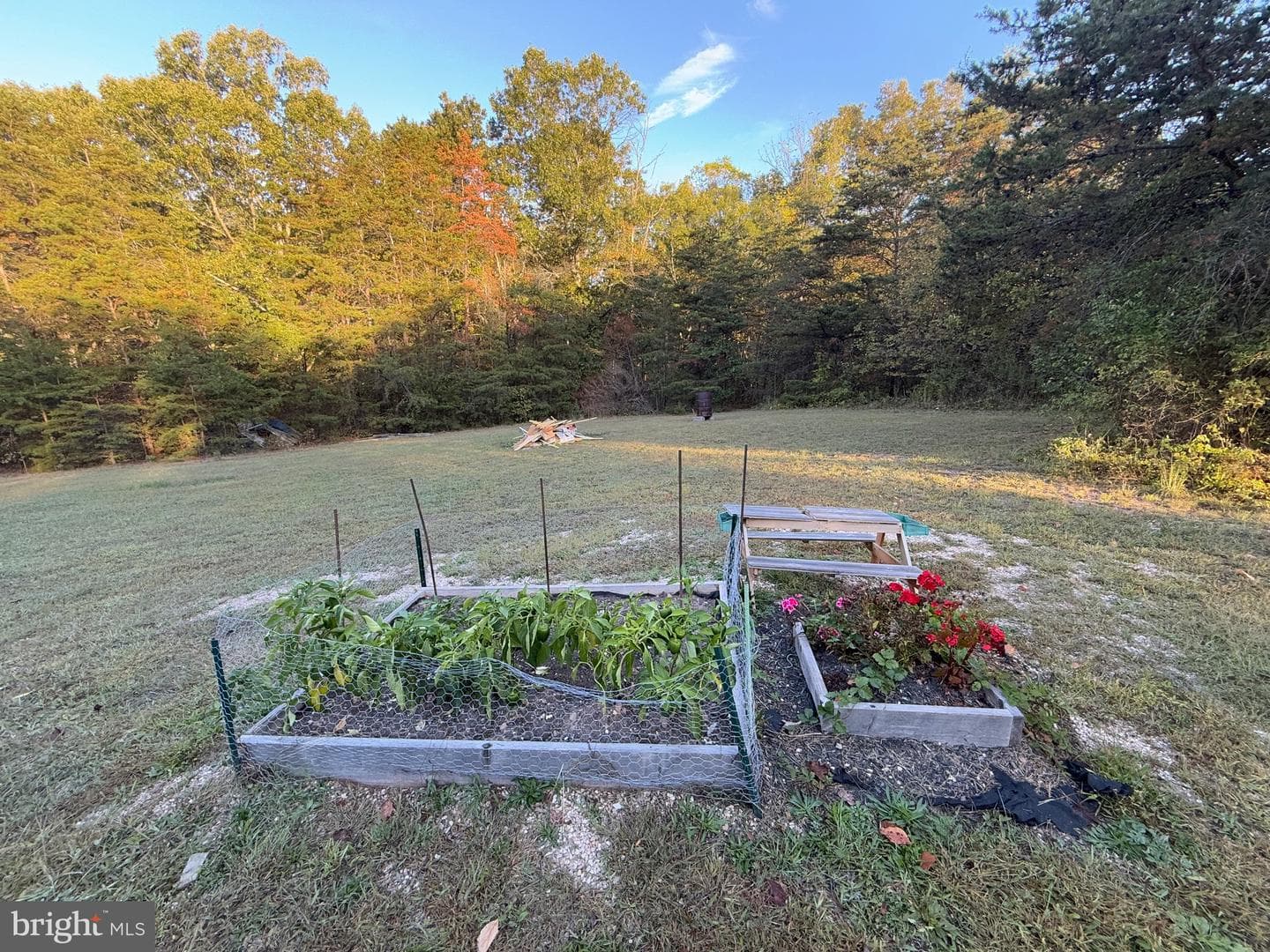 7505 Mountain View Drive photo 48