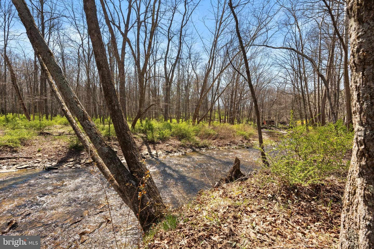 9062 Murray Run Road photo 34