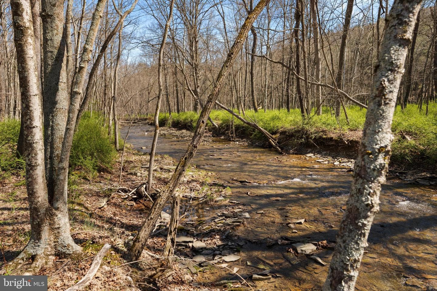 9062 Murray Run Road photo 35