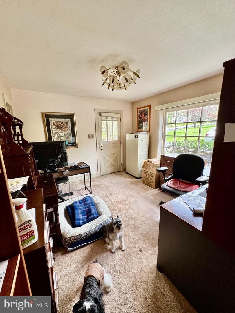2251 Moore Street photo 45