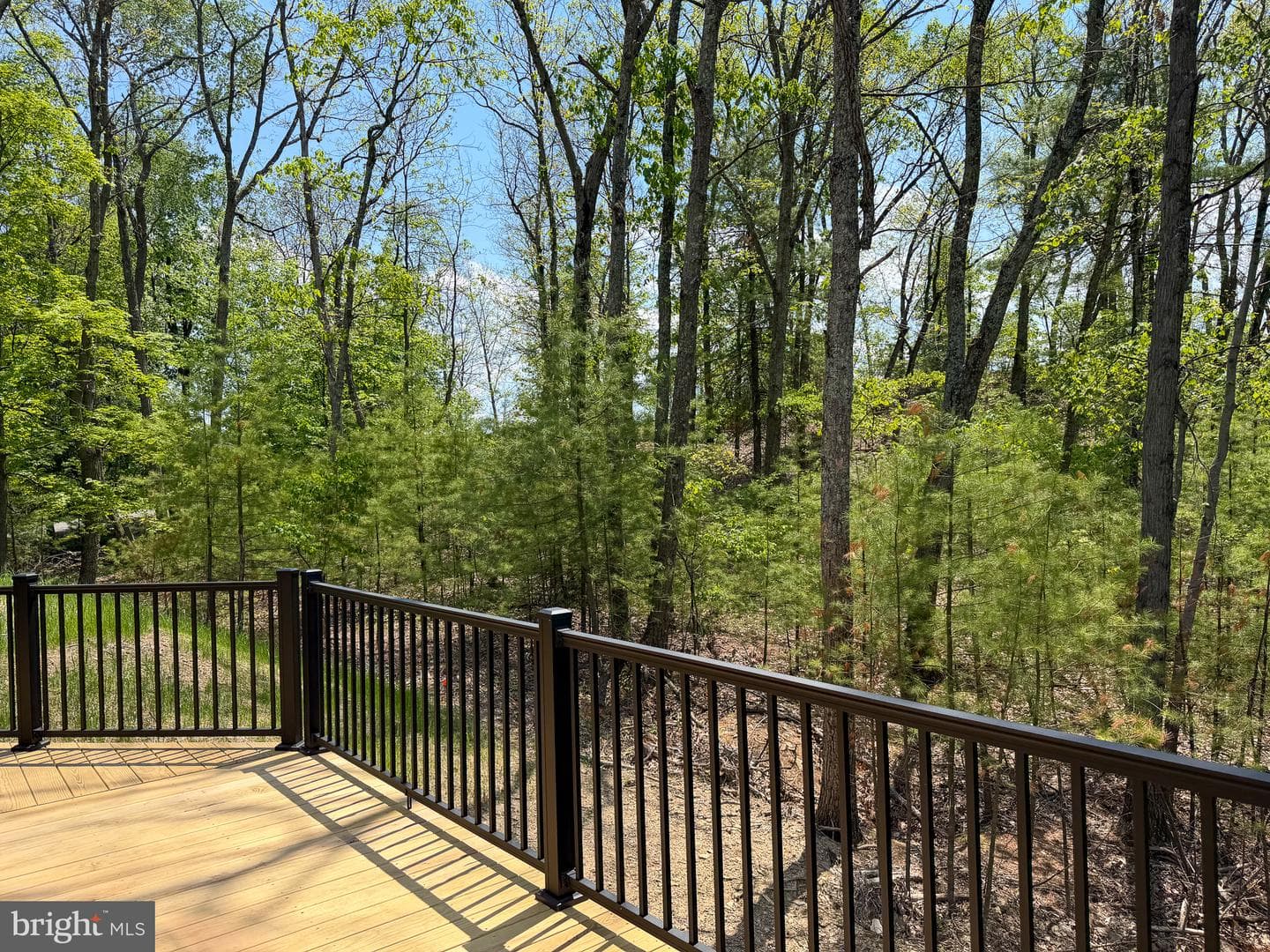 7776 Echo Heights Drive photo 34