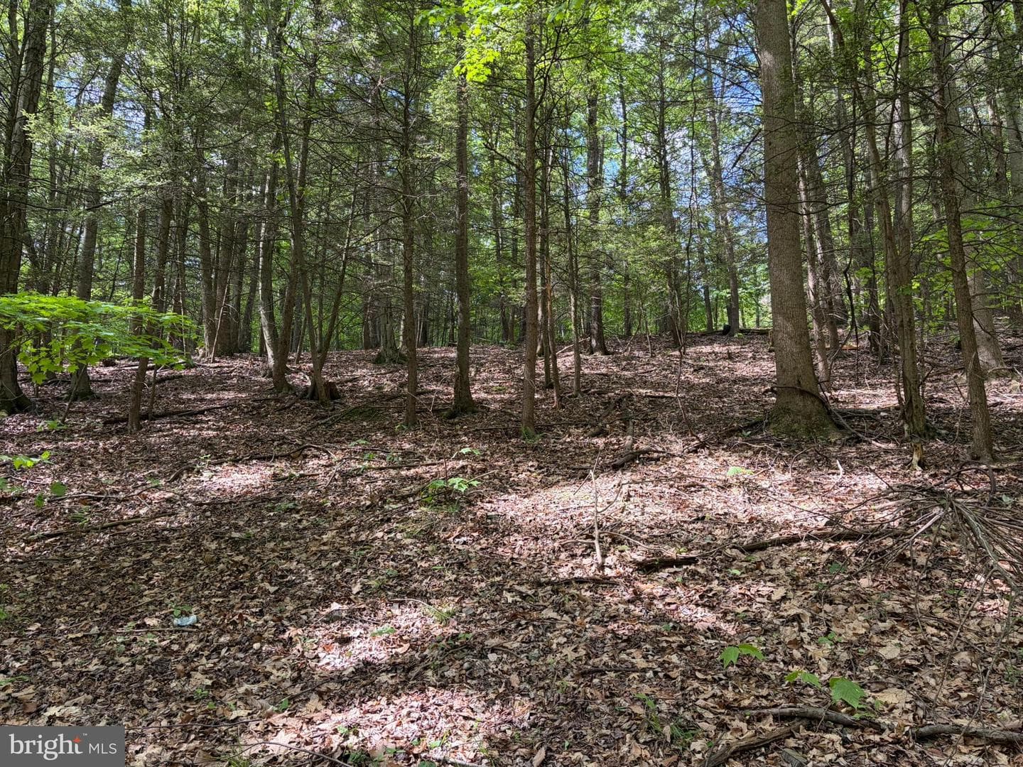 9766 Valley View Road photo 35