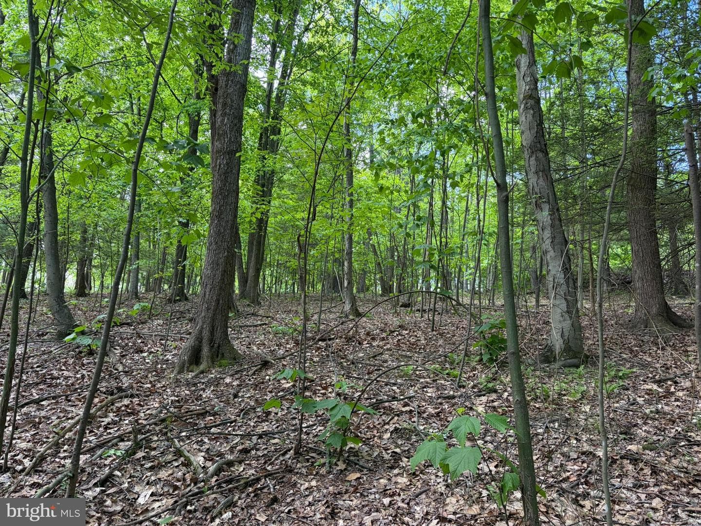 9766 Valley View Road photo 38
