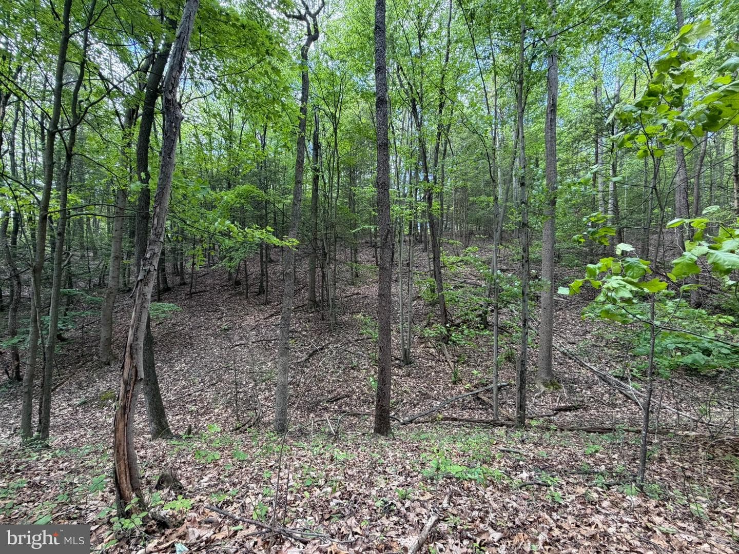 9766 Valley View Road photo 39