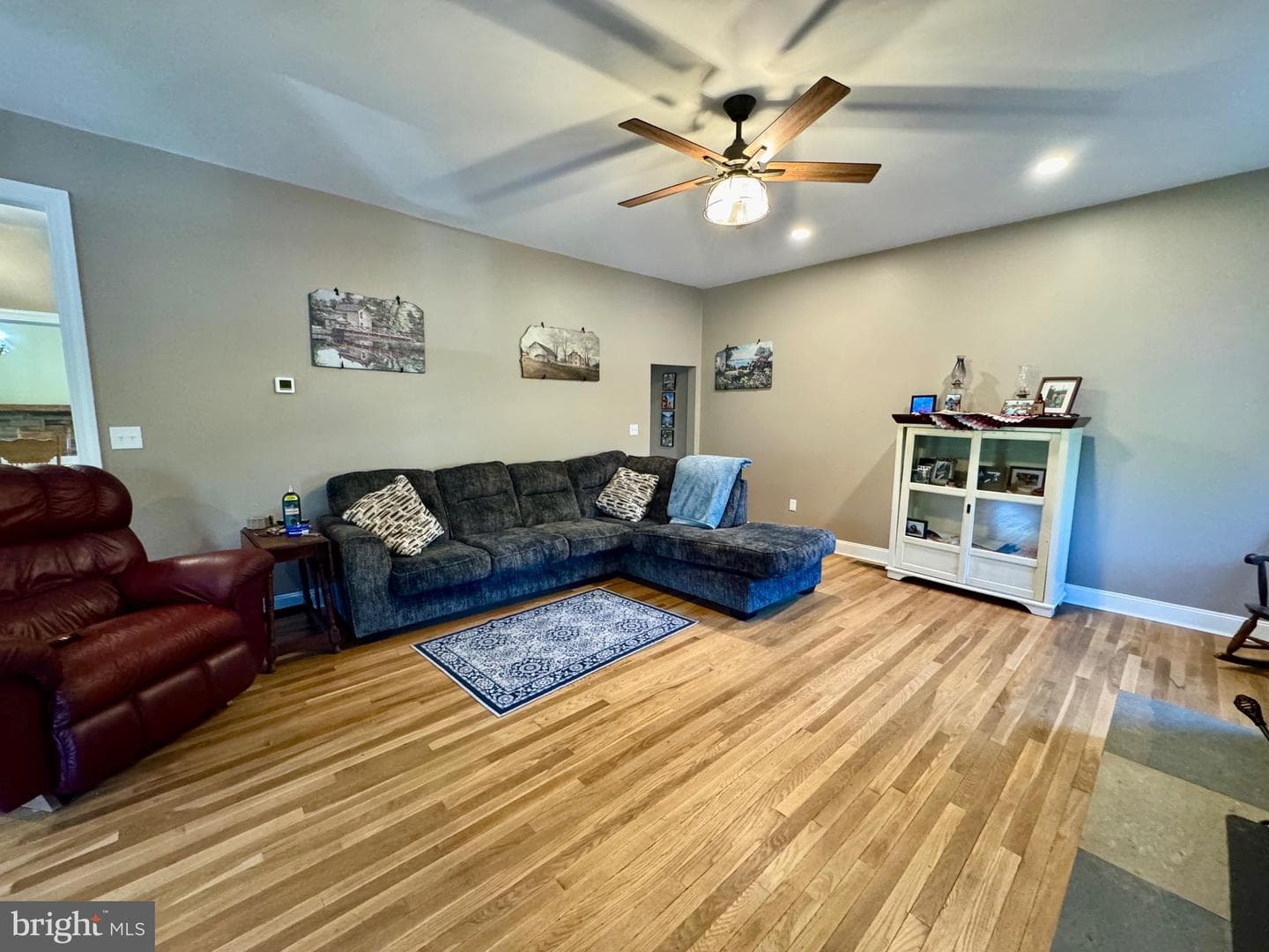 11698 Chaney Spring Road photo 19