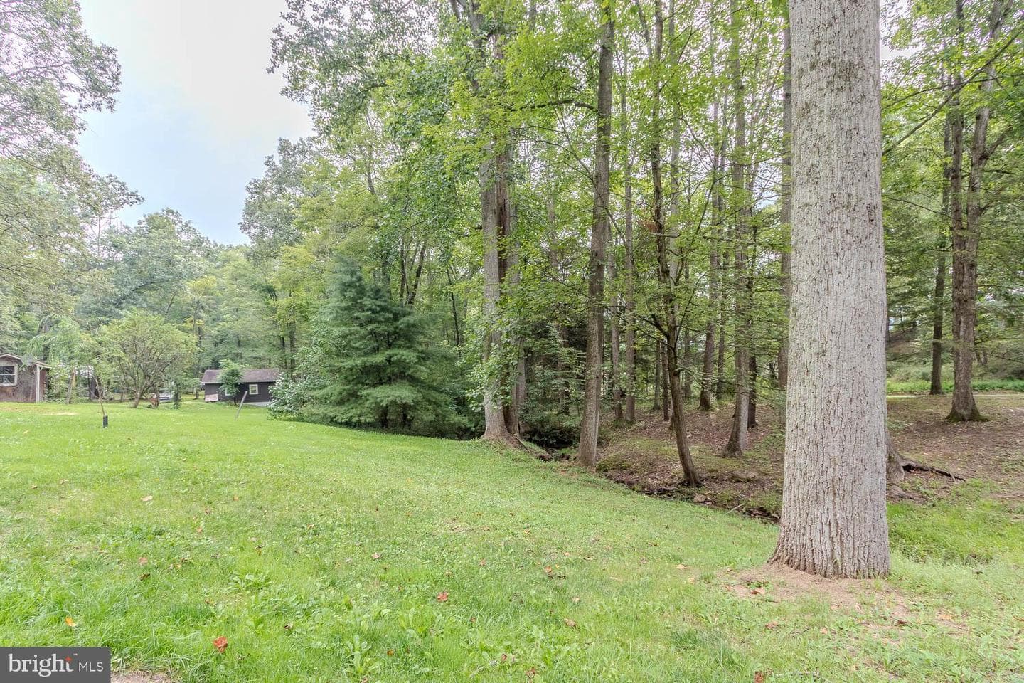 14742 Happy Hills photo 36