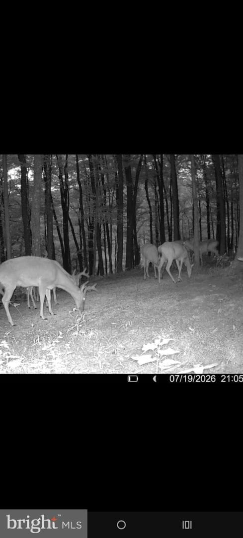 5861 Old Plank Road photo 41