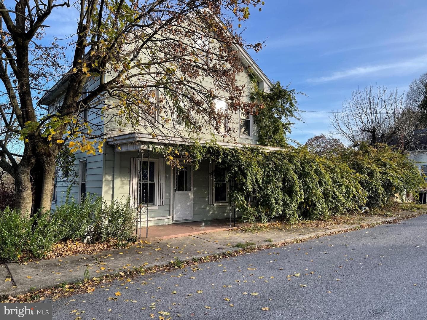 8 Foster Street photo 19
