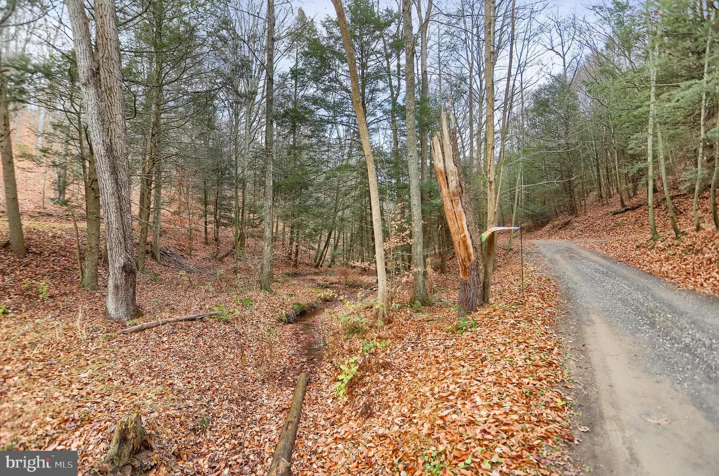 1245 Thompson Hollow Lane photo 53