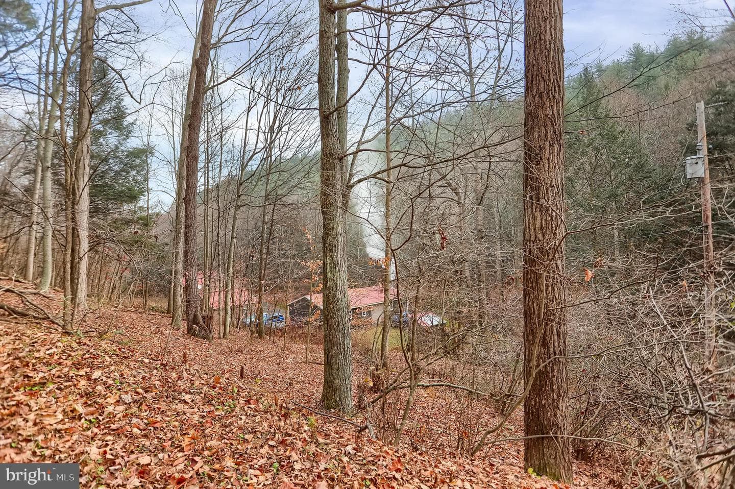 1245 Thompson Hollow Lane photo 59