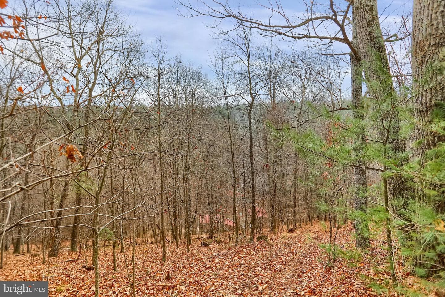 1245 Thompson Hollow Lane photo 62