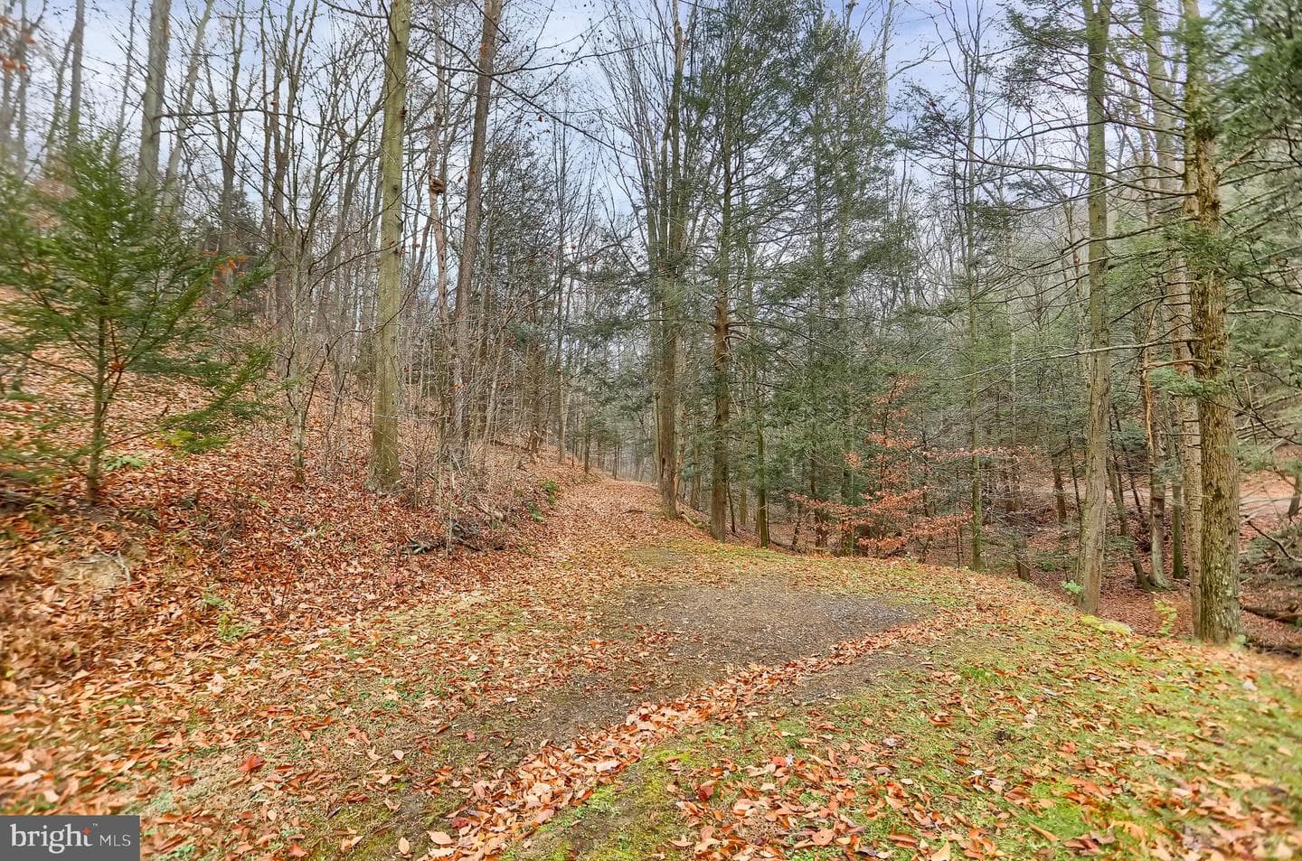 1245 Thompson Hollow Lane photo 64