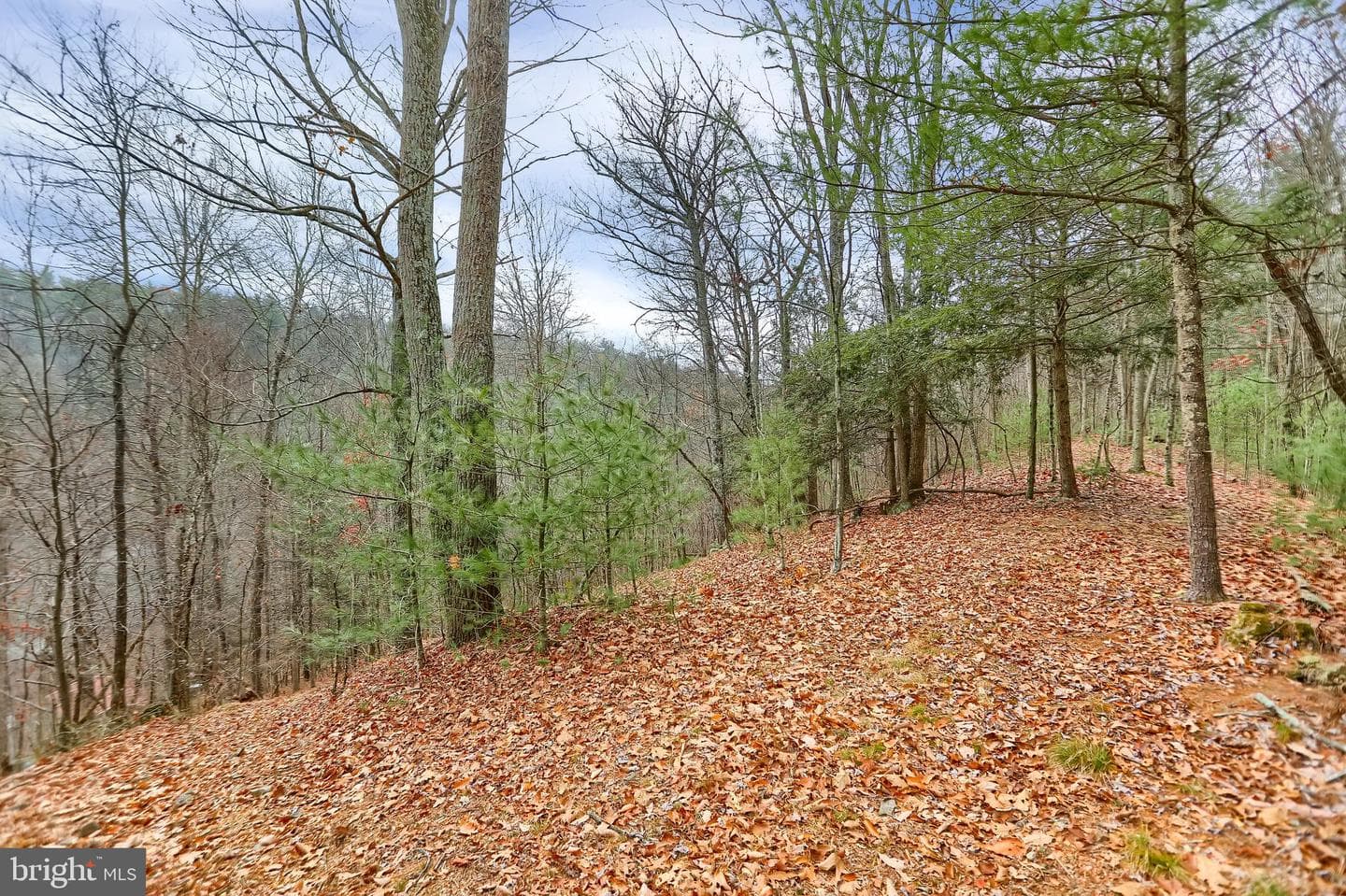 1245 Thompson Hollow Lane photo 65