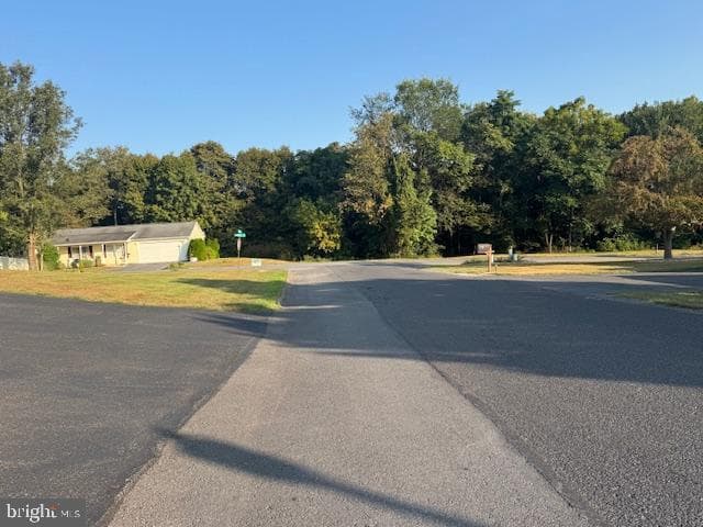 255 Sycamore Drive photo 15