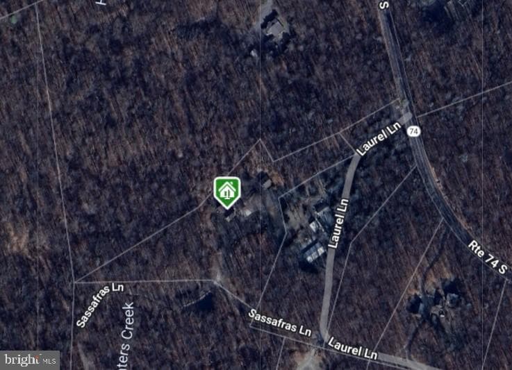 36 Sassafras Lane photo 54