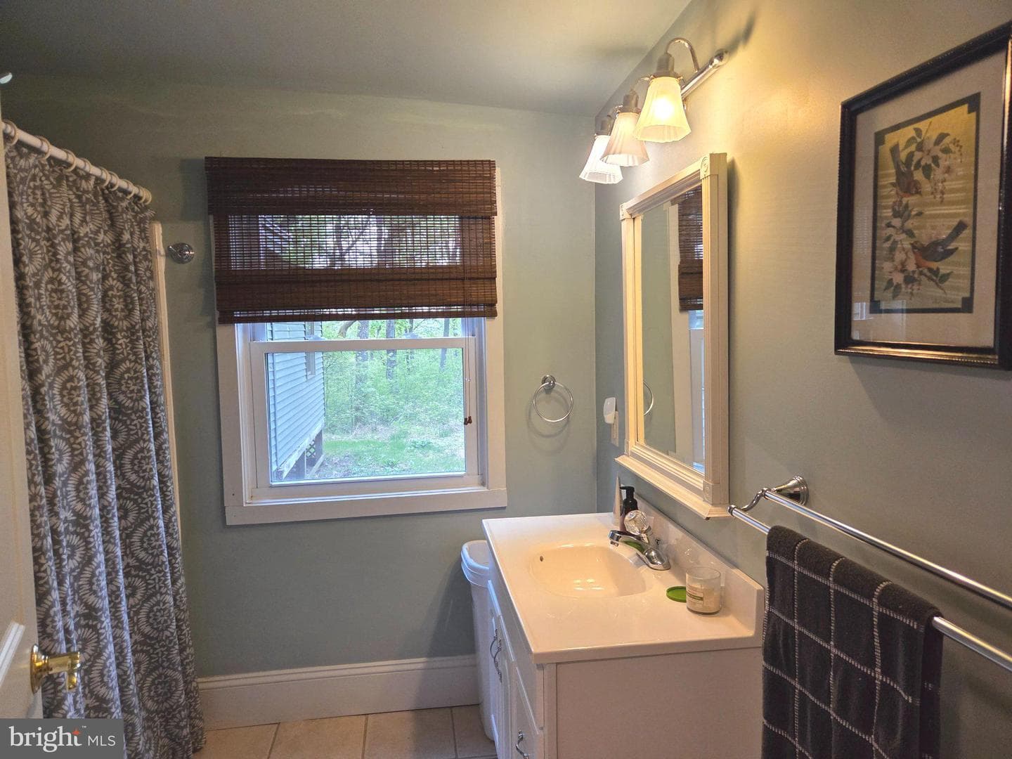 491 Wild Area Lane photo 10
