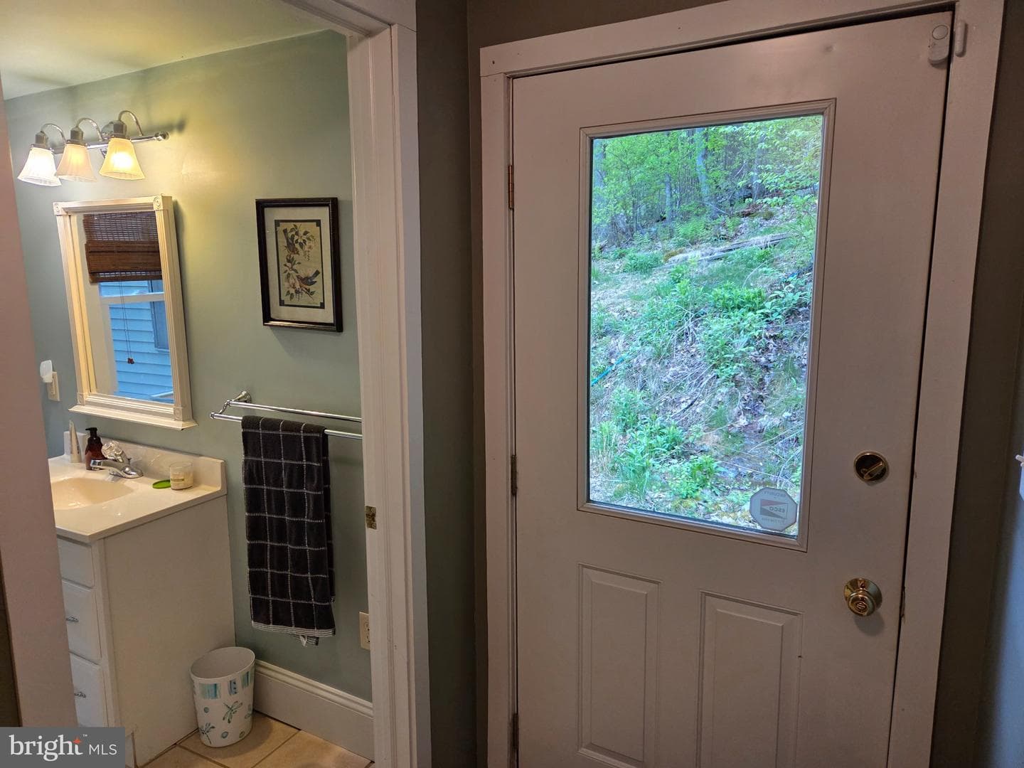 491 Wild Area Lane photo 12