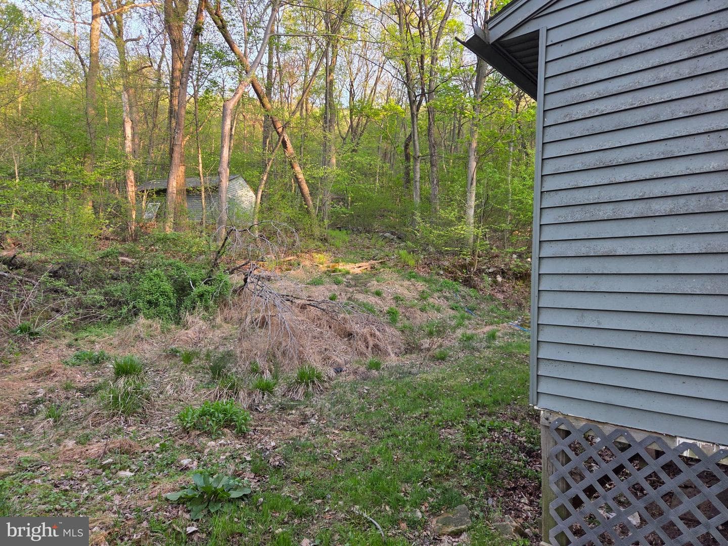 491 Wild Area Lane photo 31