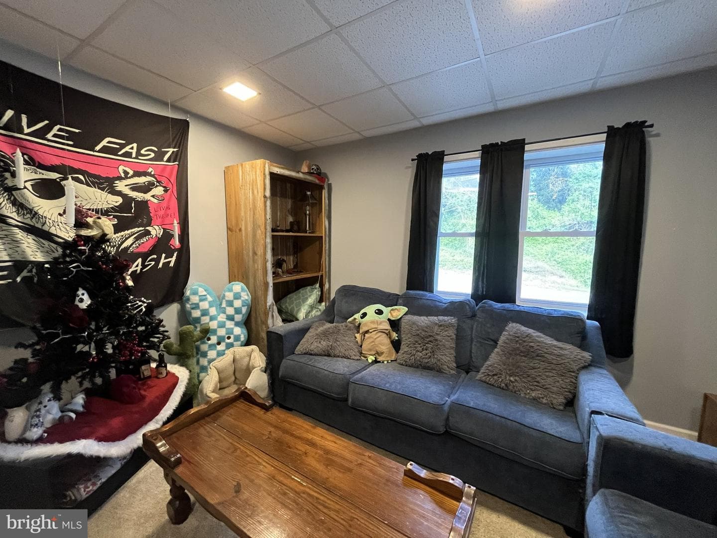 10131 Licking Creek Road photo 43