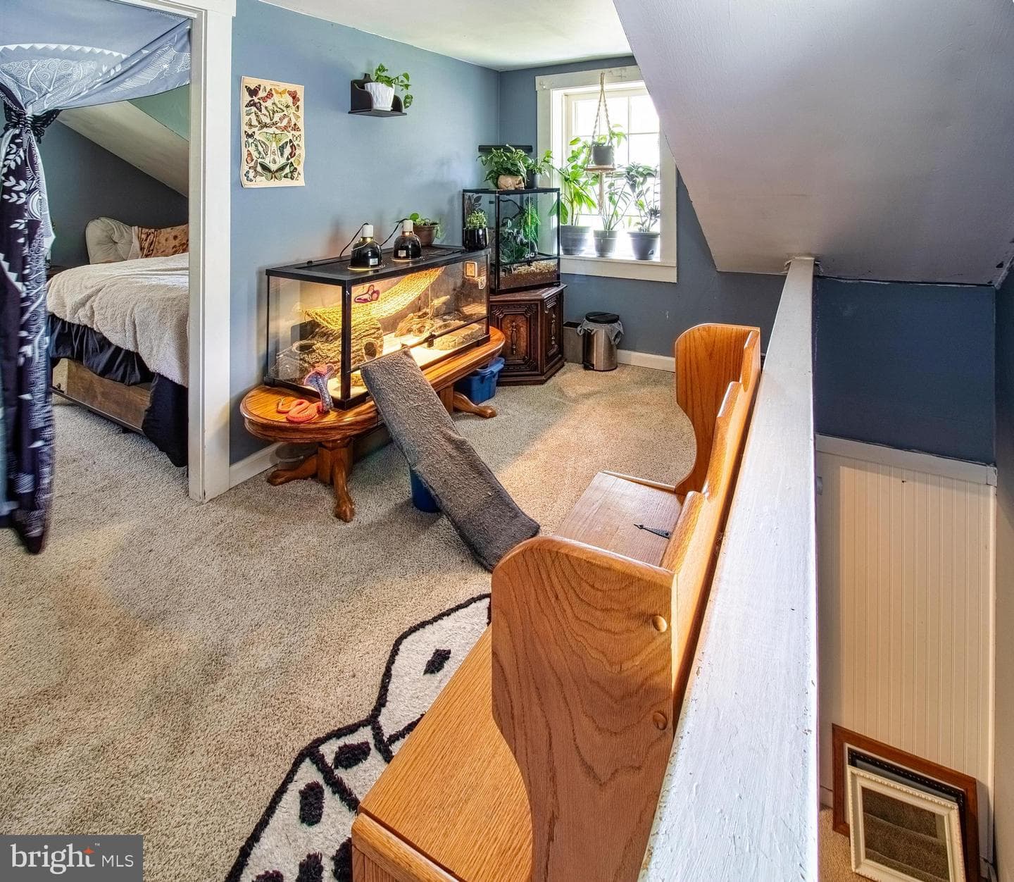 10131 Licking Creek Road photo 64
