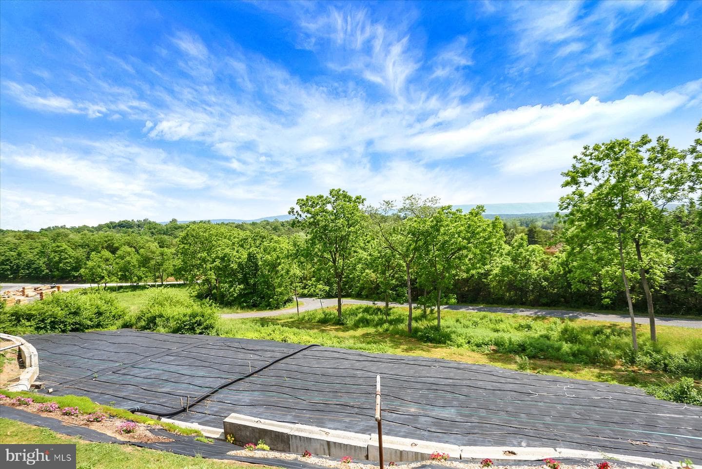 125 Birch Lane photo 32
