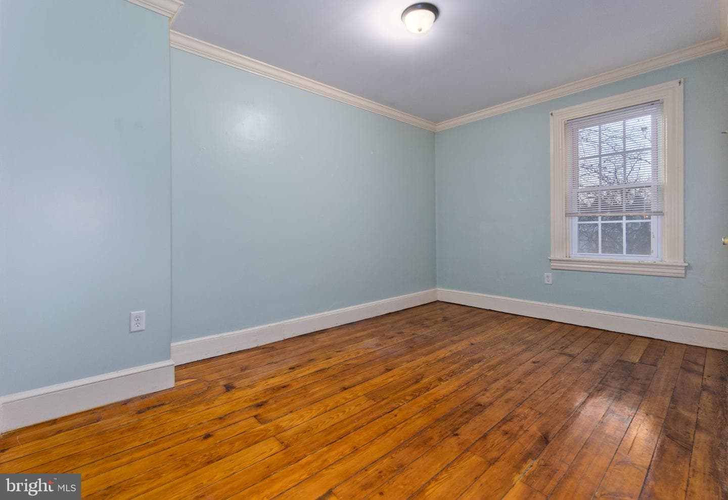 349 E Marion Street photo 11