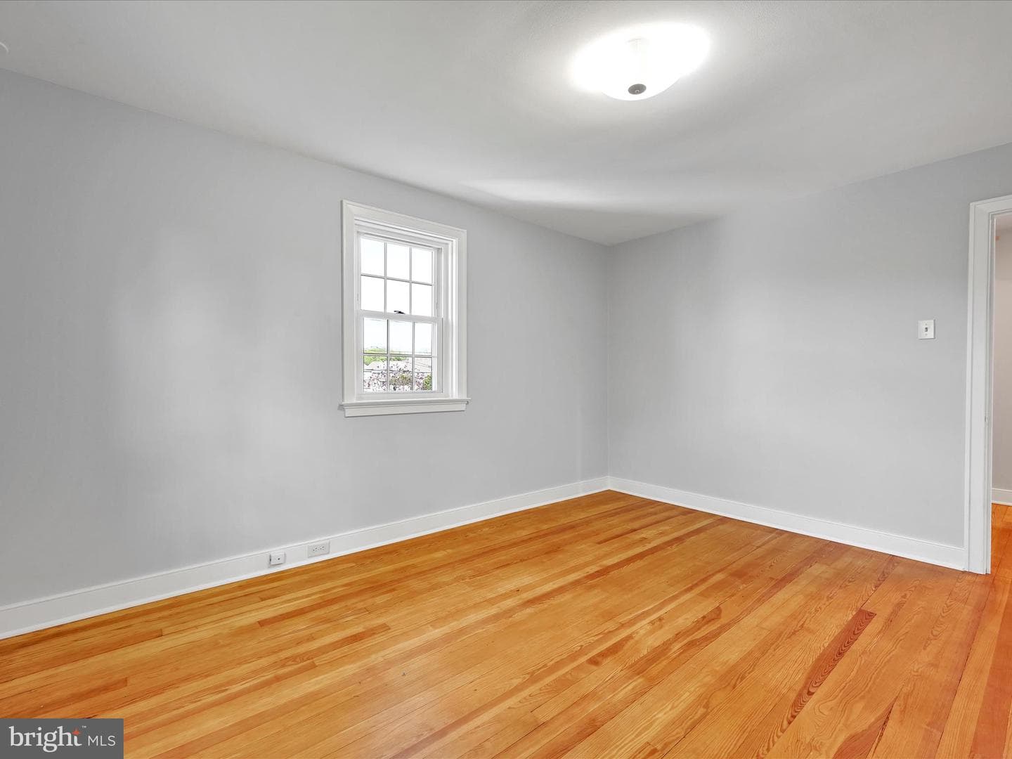 1705 Windsor Avenue photo 19