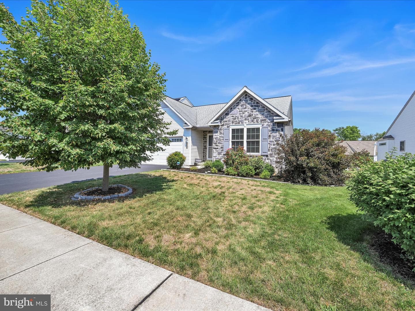 5203 Summerfield Drive photo 3