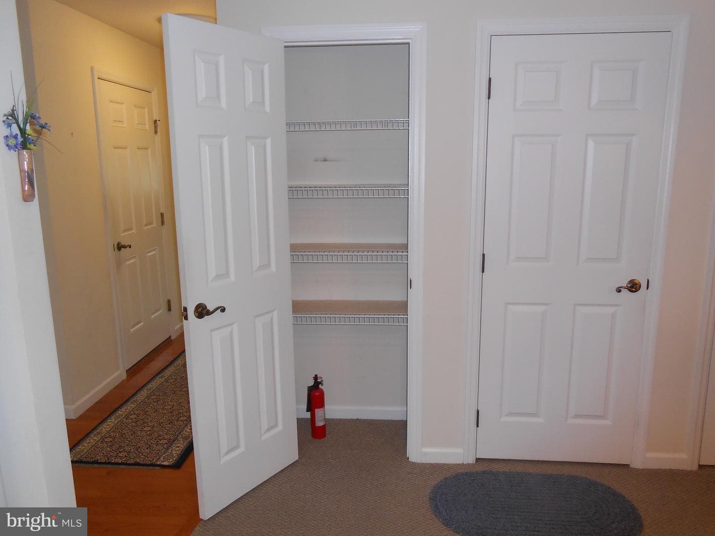 402 Thrush Drive photo 17