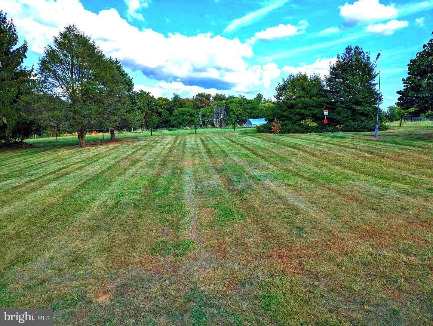 257 Clearfield Road photo 23