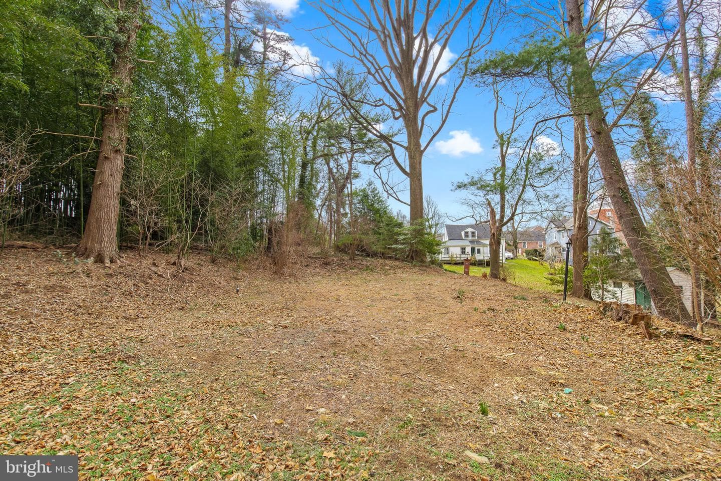 899 Winter Hill Road photo 10