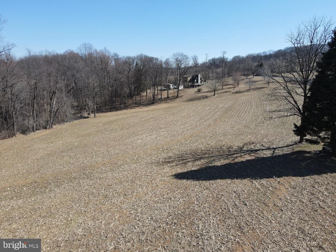 131 Stump Road photo 45