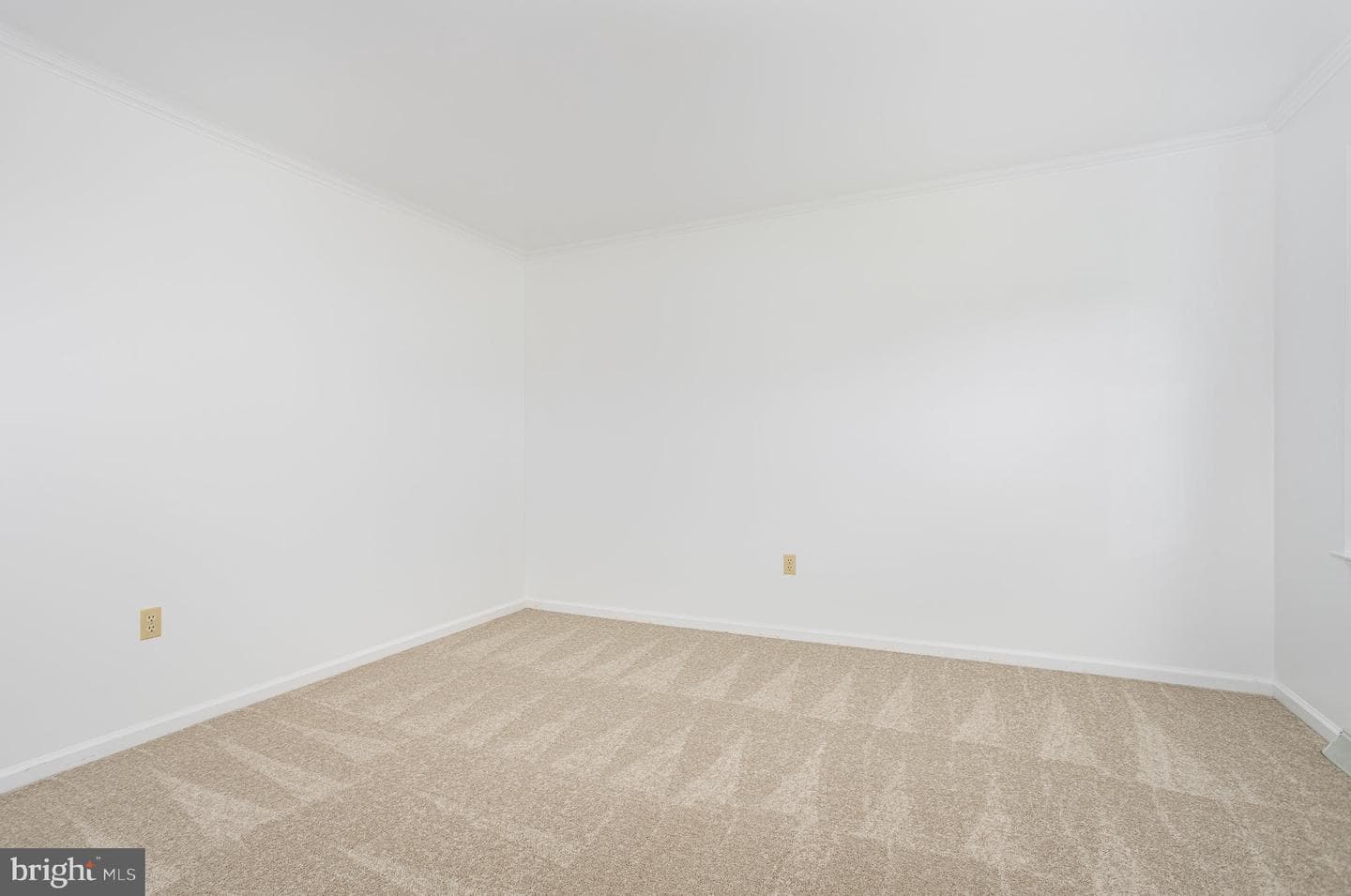 247 Miller Road photo 26