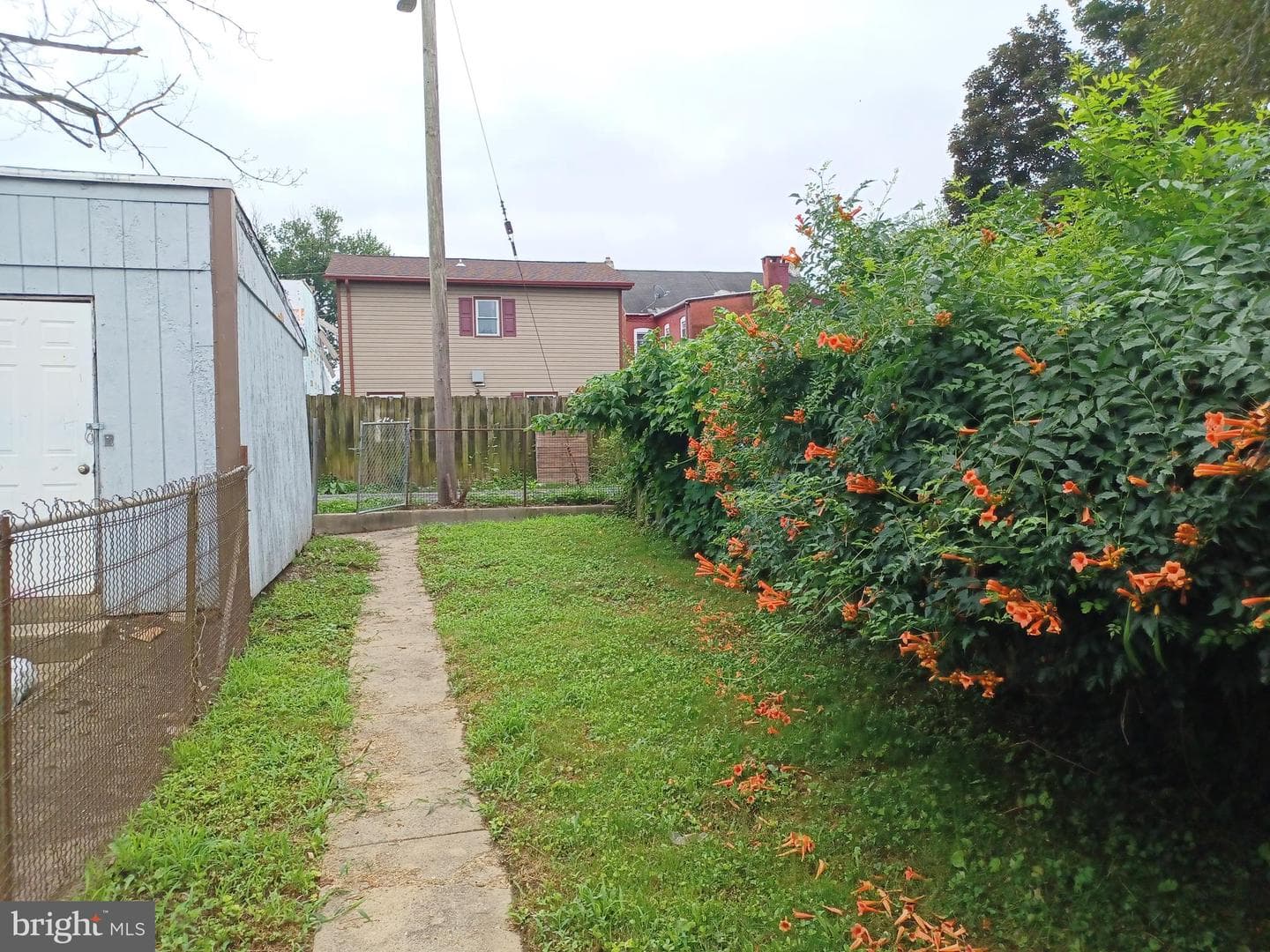 539 Green Street photo 5