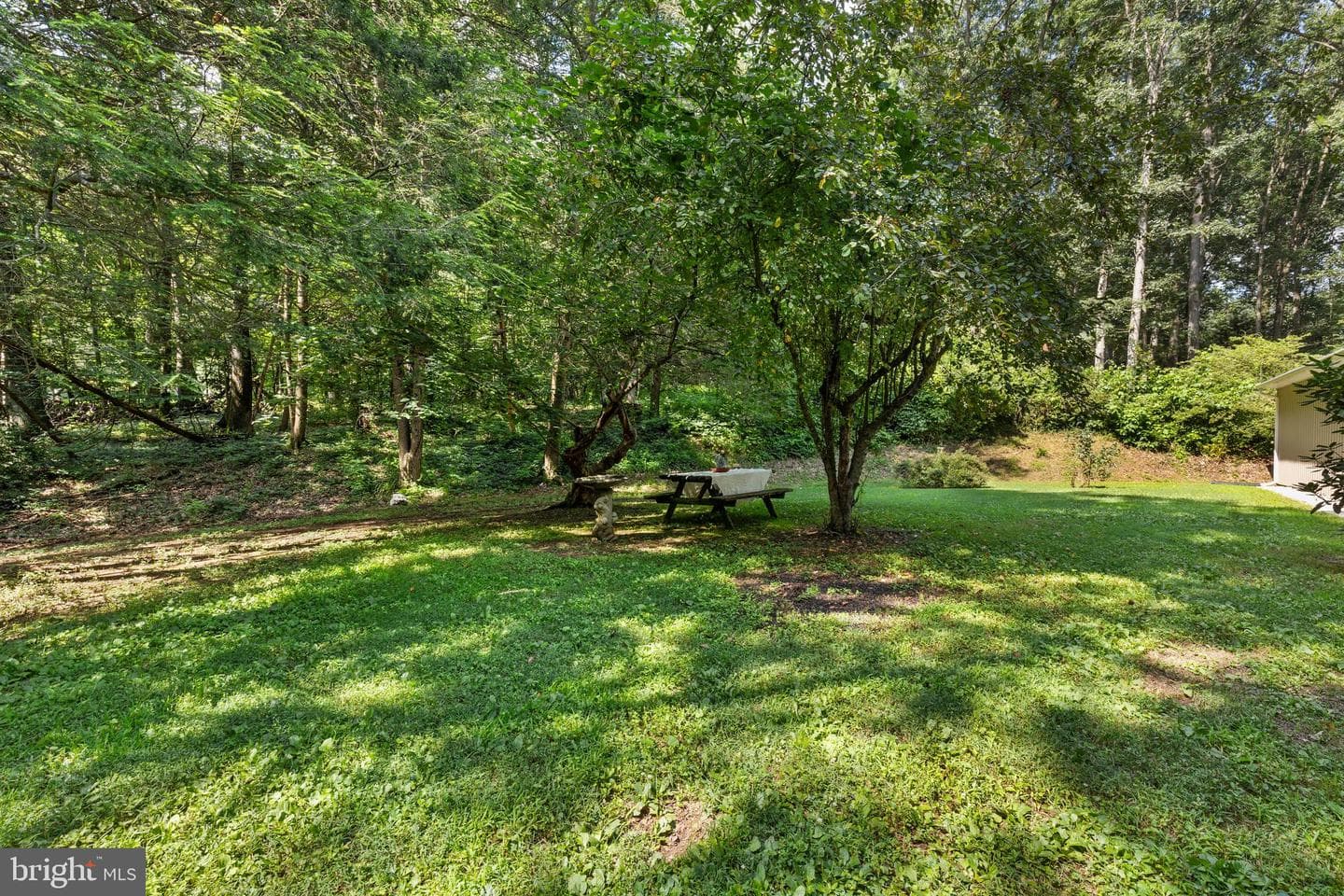 226 Acorn Lane photo 38