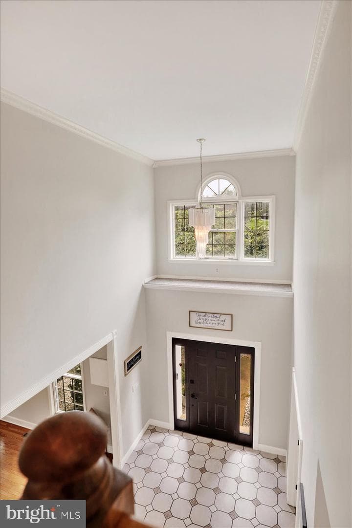 403 Carter Moir Drive photo 41