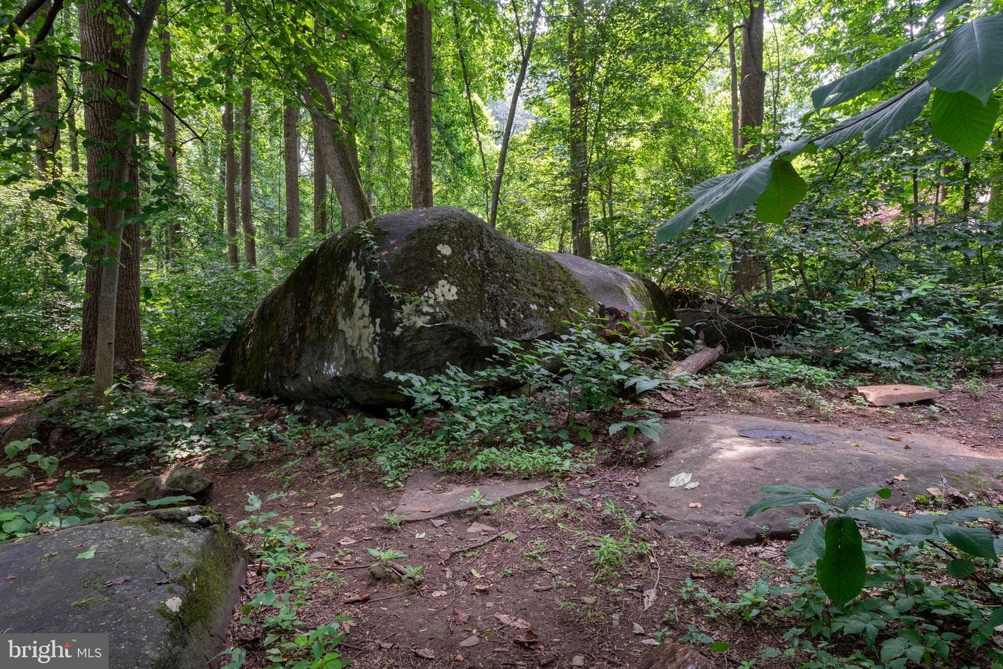 6206 Poplar Path photo 72
