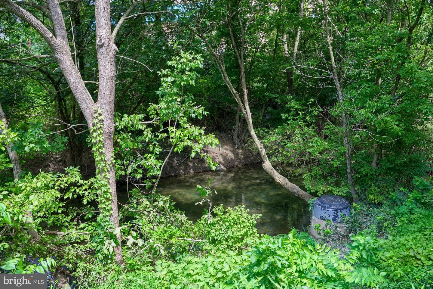 1075 Richmond Road photo 61